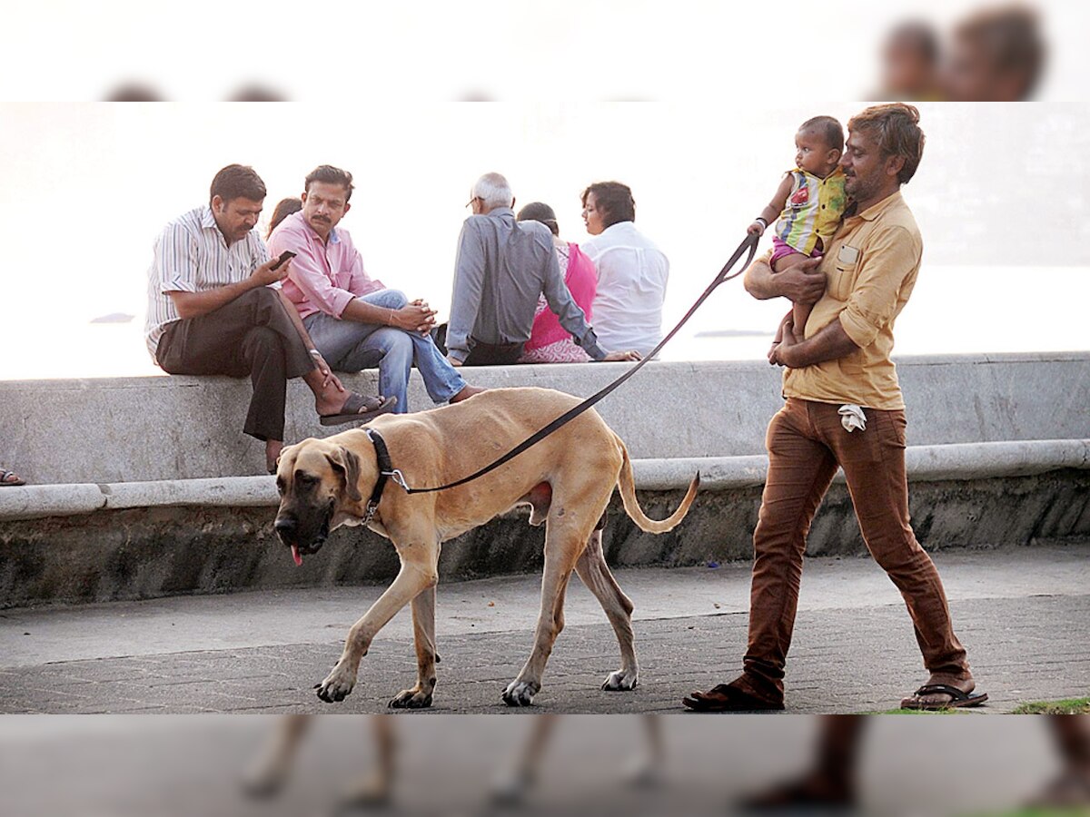 Mumbai: Starting today, BMC to act against dog owners who don't scoop poop