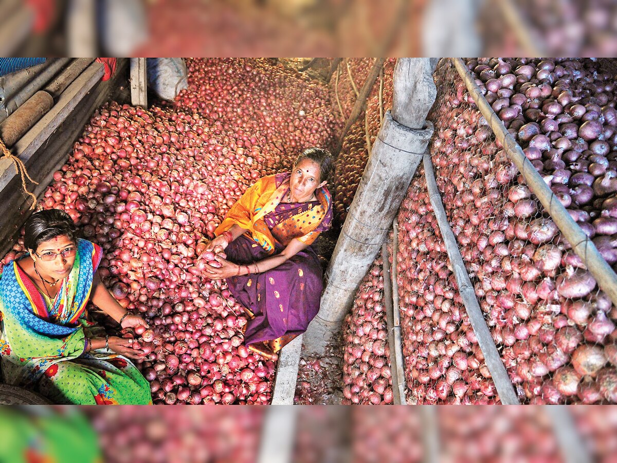 Maharashtra: Agricultural experts blame govt's lack of foresight for plummeting prices