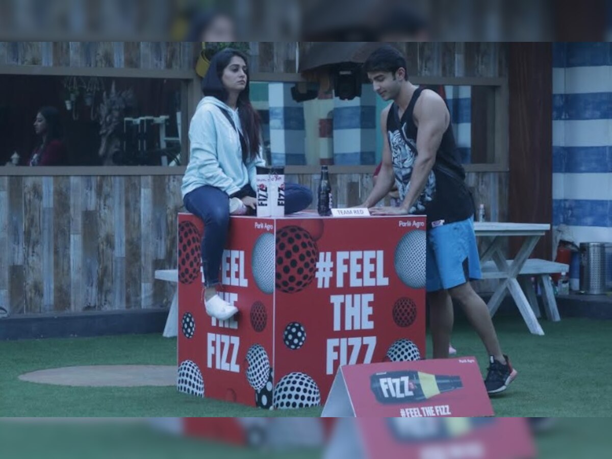 'Bigg Boss 12' December 13, 2018 Written Update: Dipika Kakar's team wins the task; Karanvir, Romil fight with Sreesanth