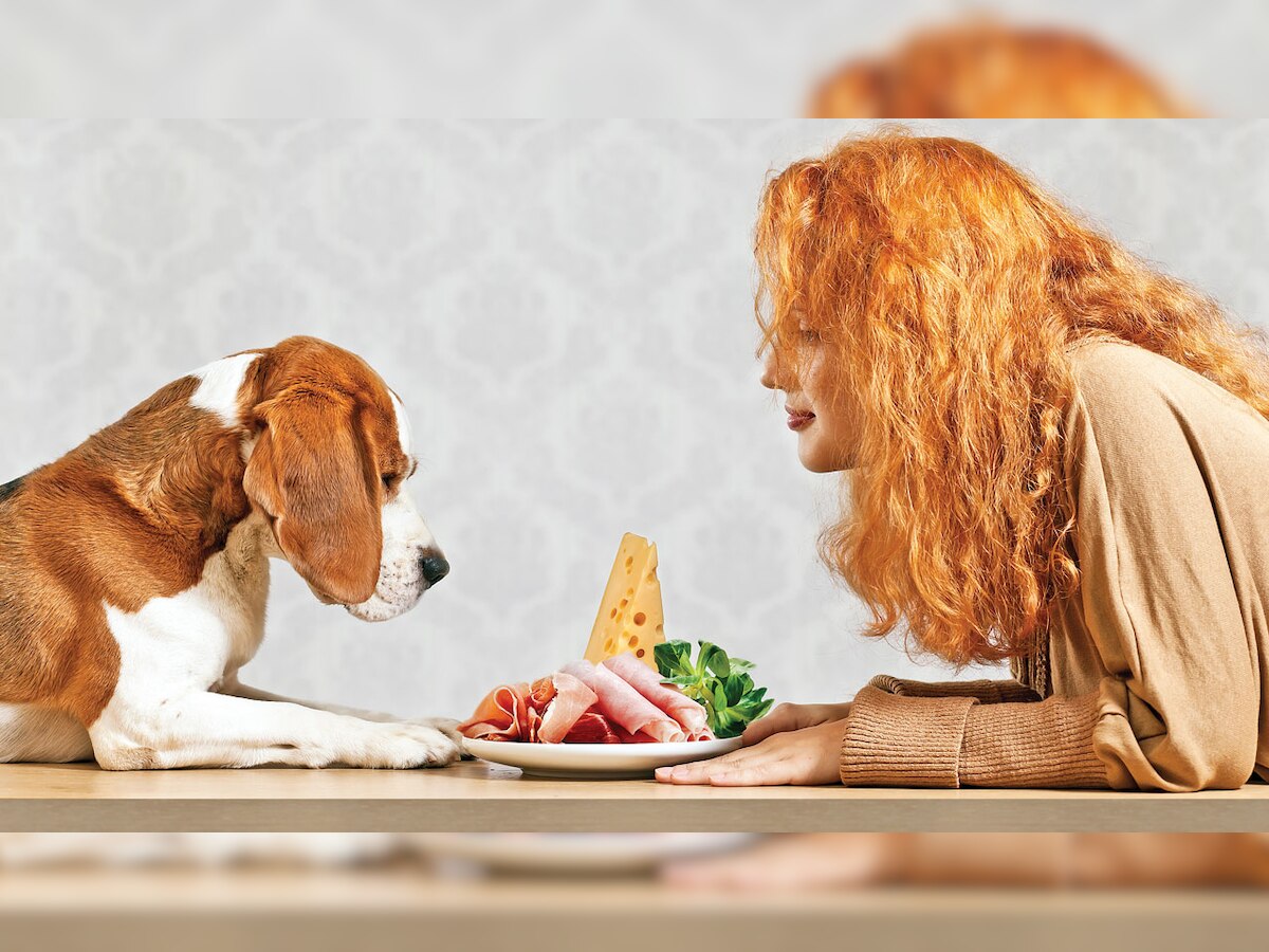 Food for your pet’s soul