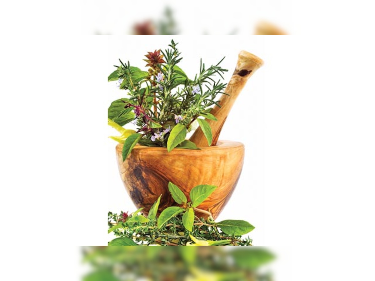 Soon, Ayurvedic treatment may come under health scheme