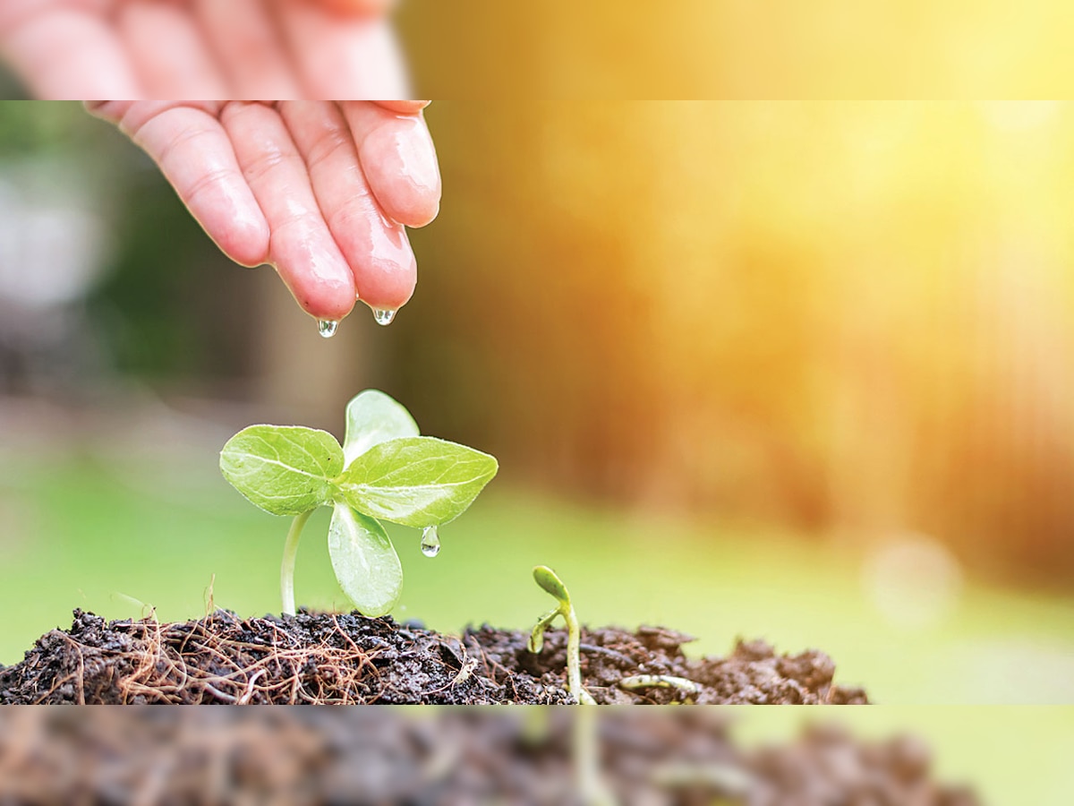 Over 5,000 firms get notices for CSR non-compliance