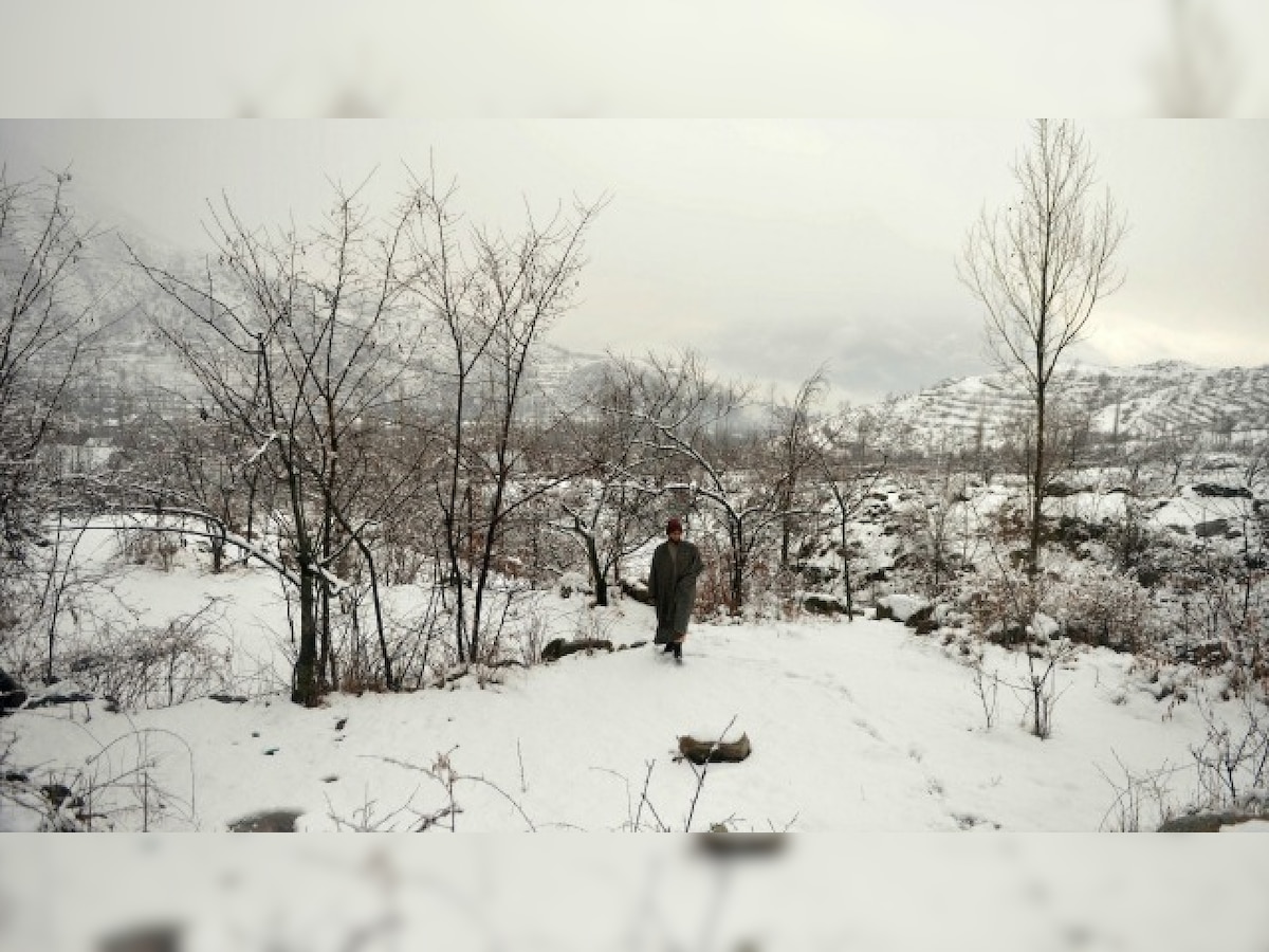 Srinagar shivers at minus 4.6 deg C, Kargil coldest in J-K at minus 15.8 deg C