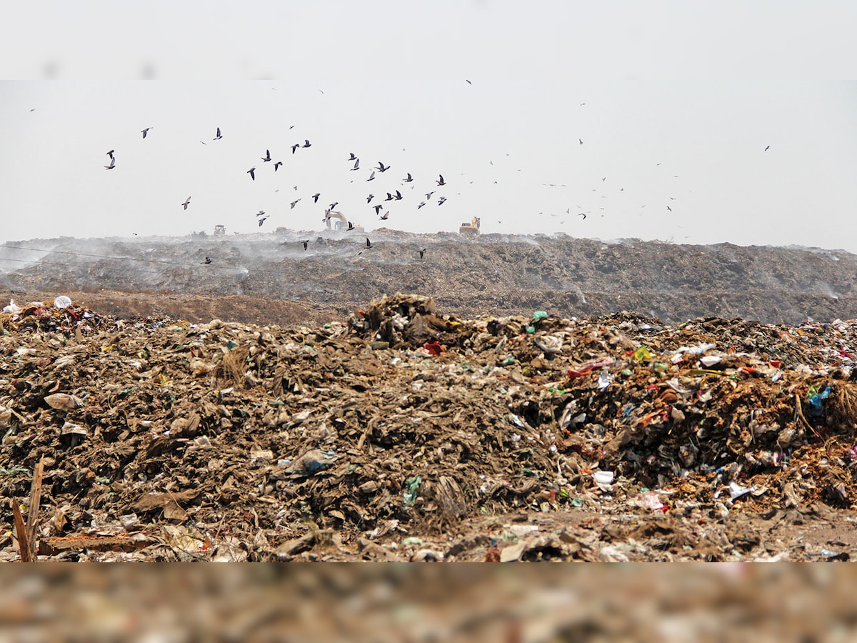 Ahmedabad: Bio-reactor, bio-mining likely solution for Pirana dumpsit, says study