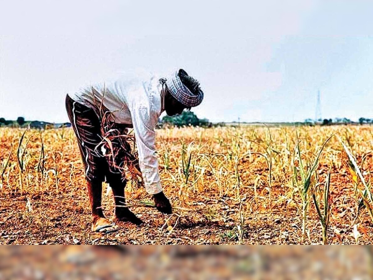DNA Money Edit: Farm loan waivers wreck state finances