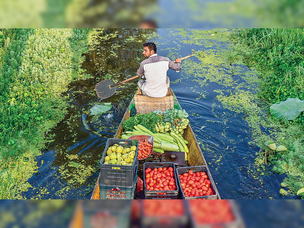 Battle-hardened Army on mission to save Dal Lake in Kashmir