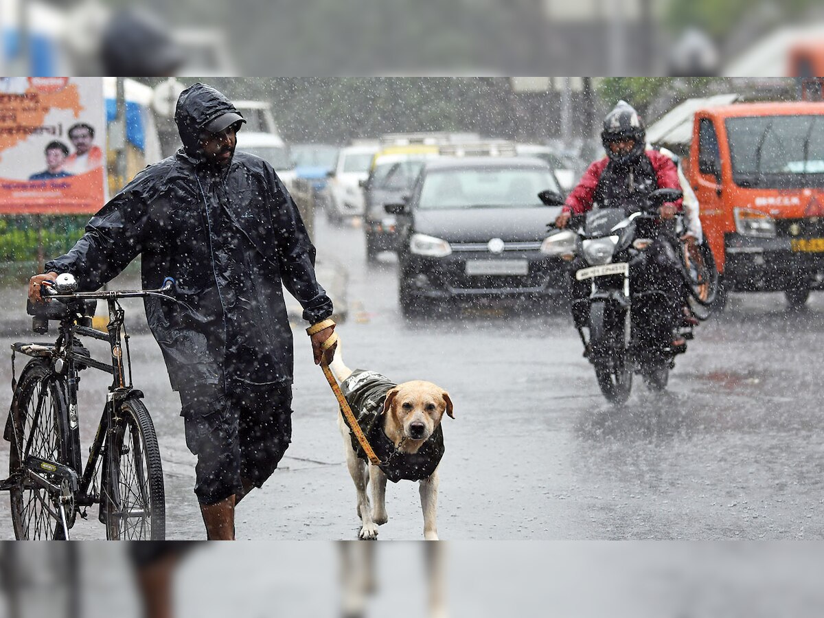 BMC fines over 120 pet owners for not cleaning dog litter
