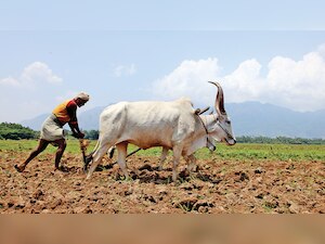 Doubling farmers' income: ITC shows the way in UP