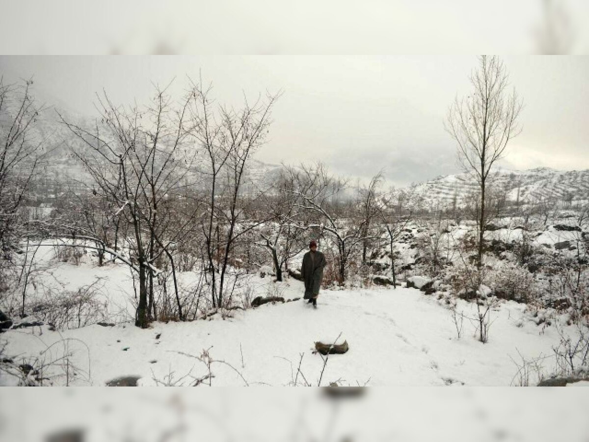 Cold wave continues in north India; Srinagar records coldest night in 11 years