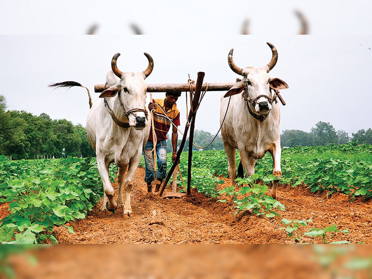There is a need to closely study ‘fringe’ northeast monsoon