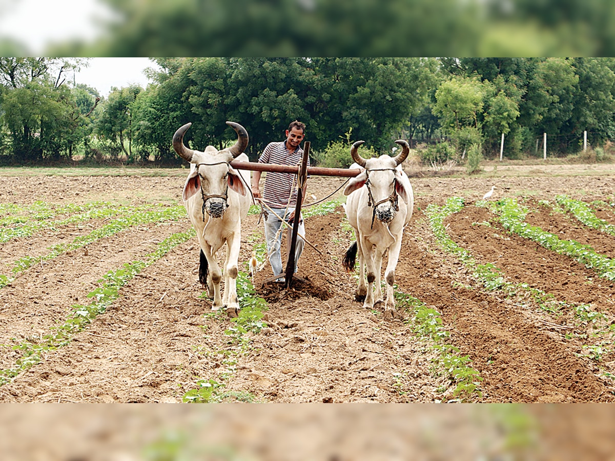 Agriculture experts tell Maharashtra govt to give pension to farmers