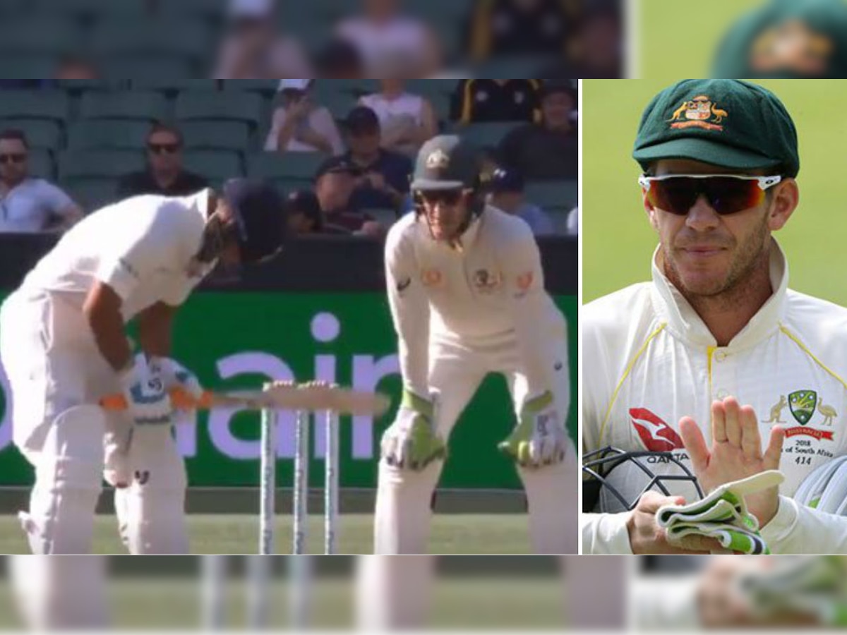 Watch: 'Big MS Dhoni is coming', Tim Paine invites Rishabh Pant to BBL as he is dropped from ODI team