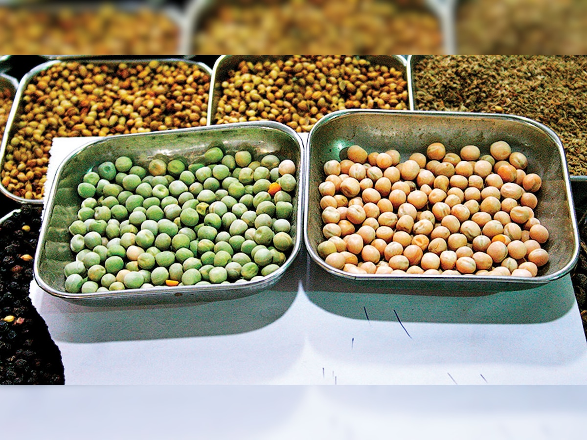 Govt extends restrictions on import of pulses till March 31