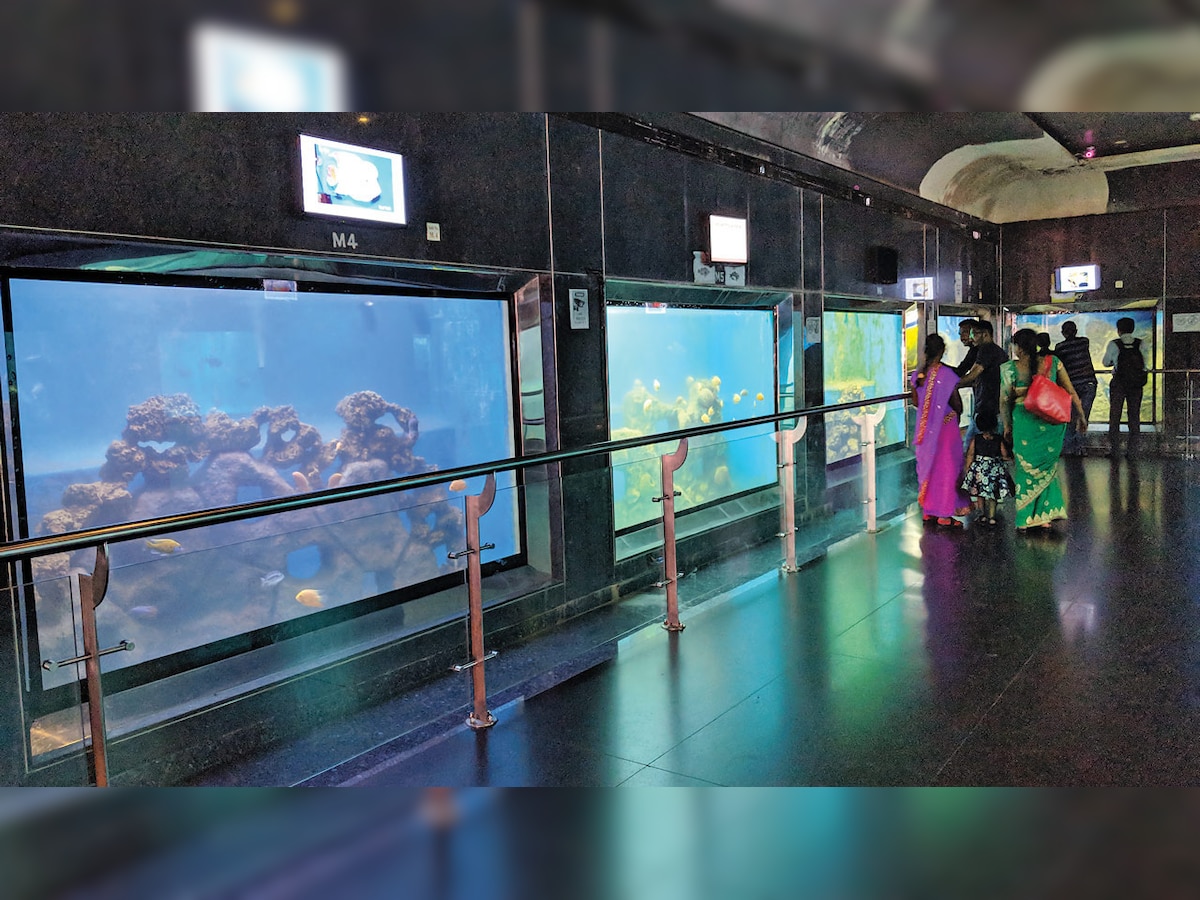 Mumbai: After much criticism, Taraporewala Aquarium to be revamped