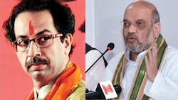 BJP will win 40 out of 48 seats in Maharashtra if we go alone: Amit Shah warns Shiv Sena