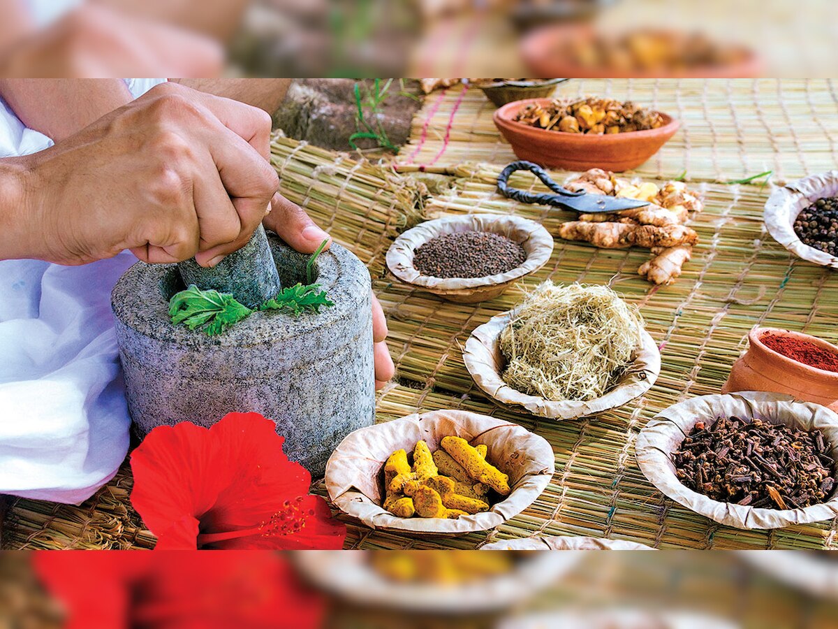 Madhya Pradesh varsity to develop Ayurvedic medicine using nano-technology