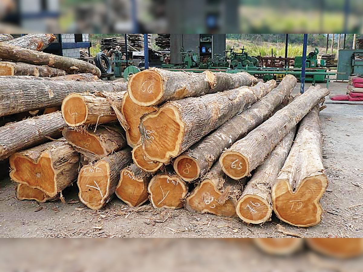 Maharashtra police seize 22 tractors of teak wood, 16 held