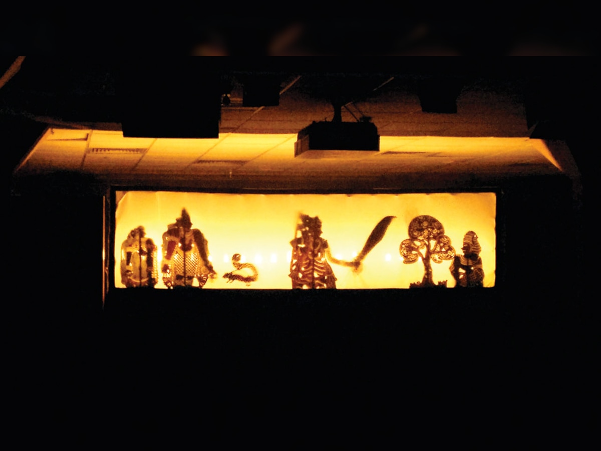 Artist throws light on shadow puppetry, revives it from history