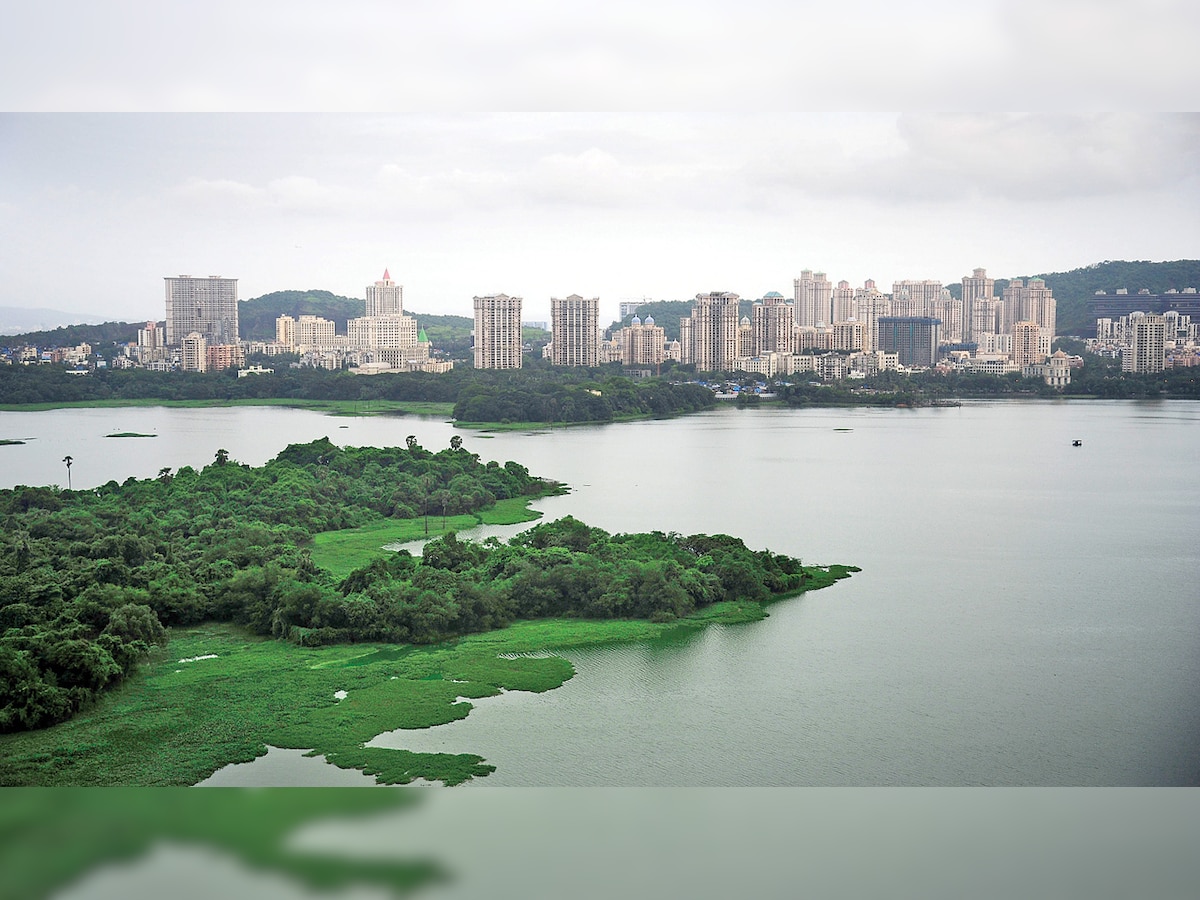 Powai lake full of hyacinths yet again