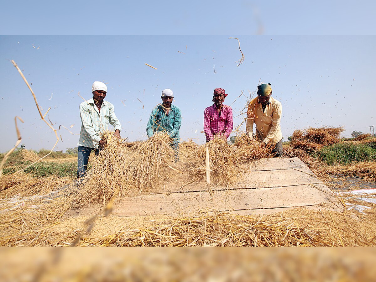 Building the Indian century