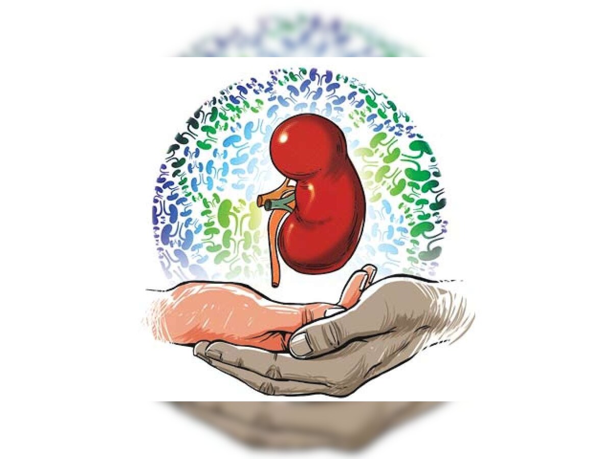 Research studies confirm Ayurvedic treatments help kidney ailments