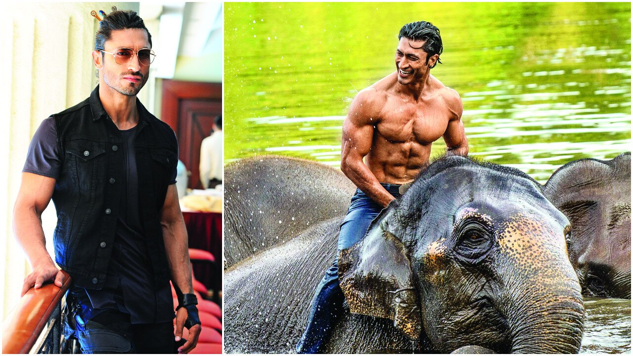 Watch: Vidyut Jammwal flaunts his 'Junglee' side as he performs push-ups on  glass bottles | Hindi Movie News - Times of India
