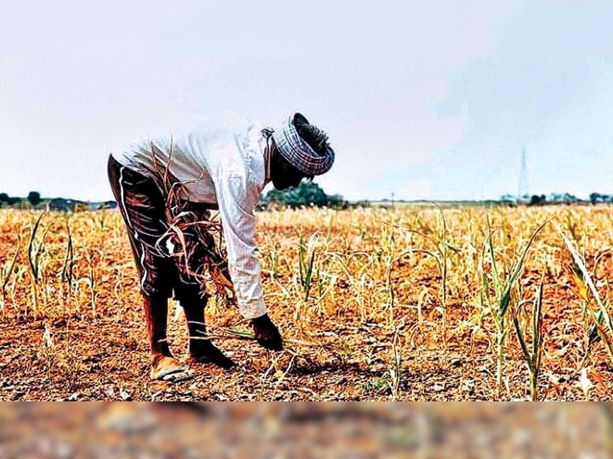 Gujarat: Polls to derail water conservation drive, fear farmers