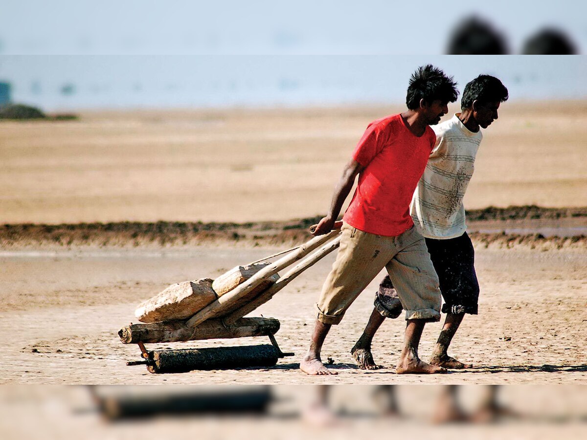 Gujarat: For 3000 agariya families, a railway line is their main poll demand