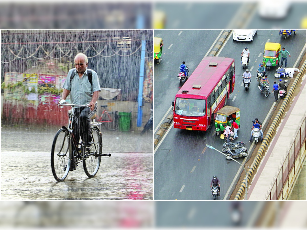 Unseasonal rains kill 11 across Gujarat