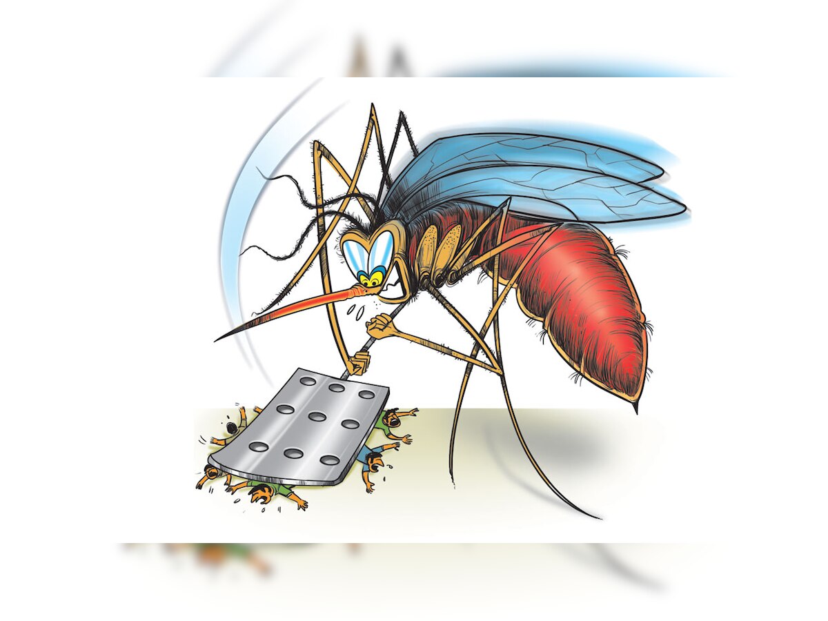 Ahmedabad Municipal Corporation vows to stop spread of malaria