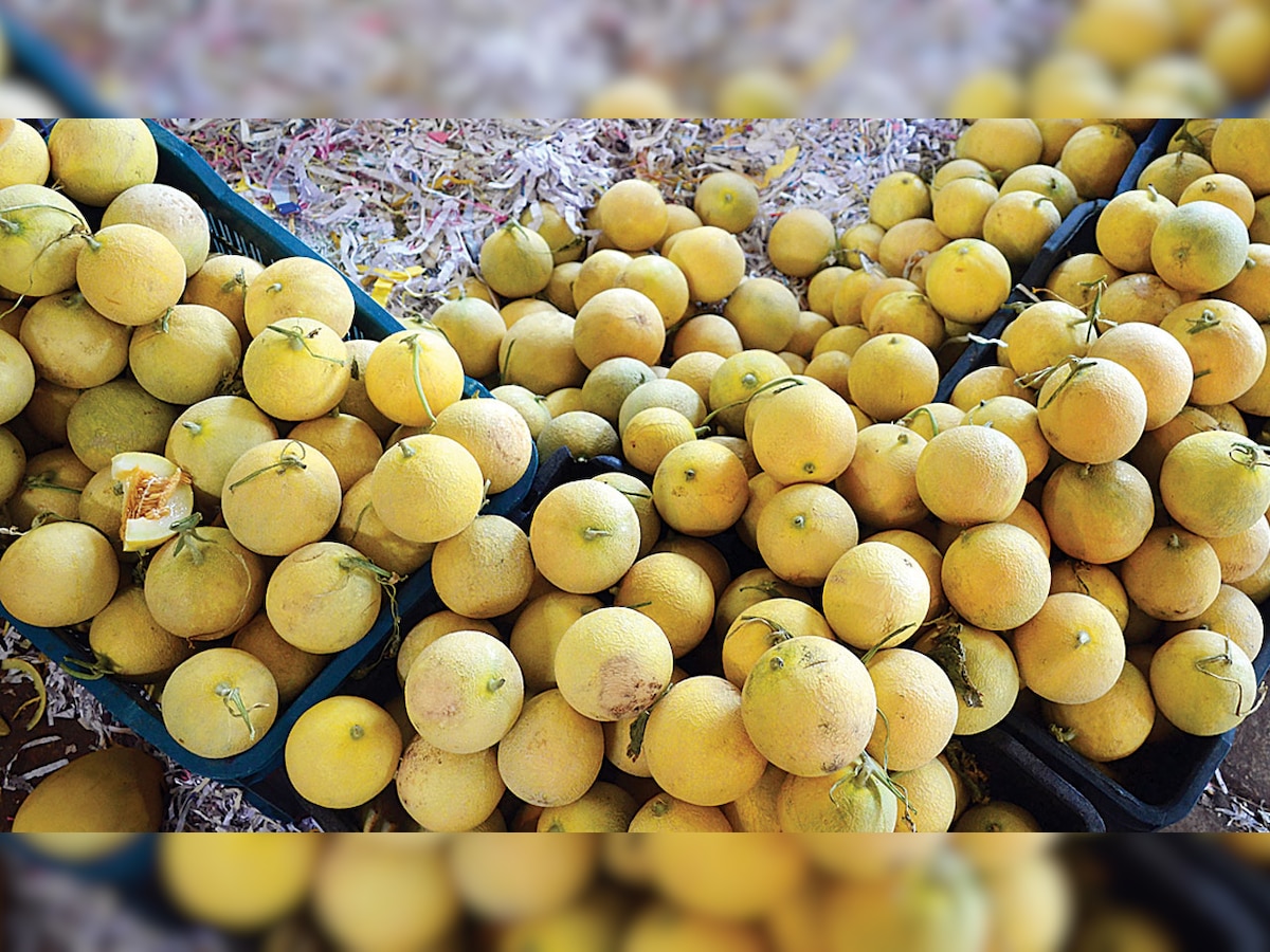 Trying to curb artificial ripening of fruits: Gujarat Govt