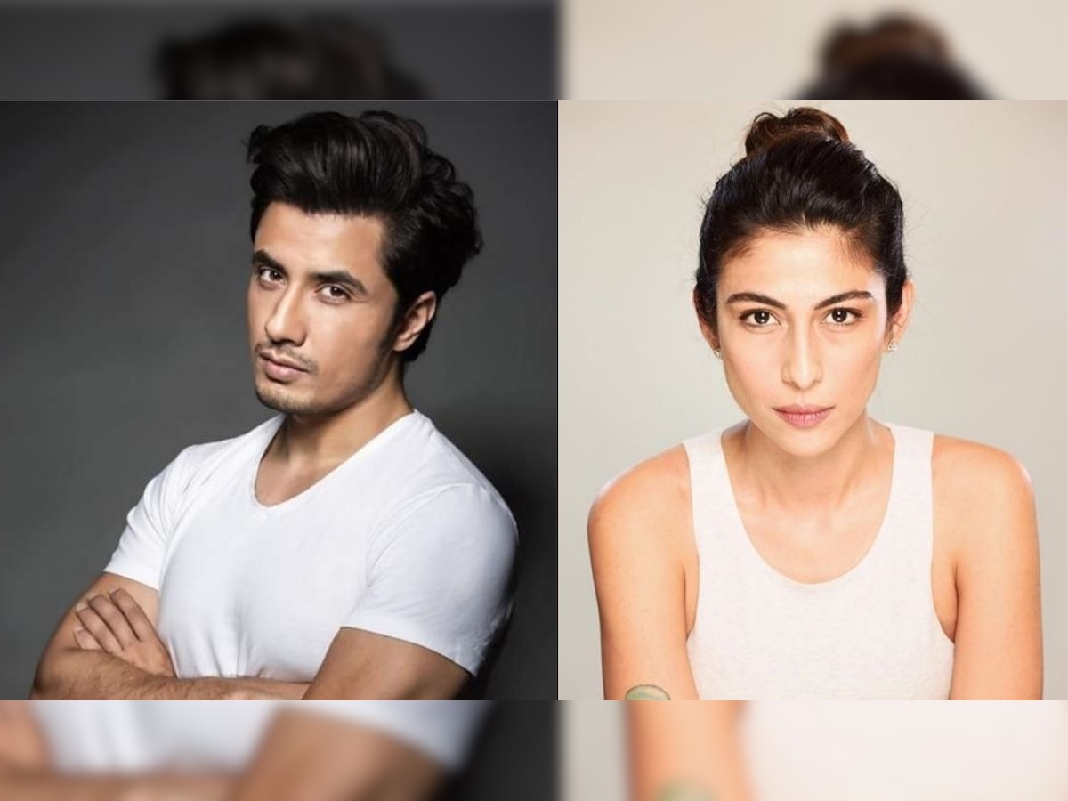 Pakistani actor Ali Zafar is in no mood to forgive Meesha Shafi, joins hands with wife Ayesha to EXPOSE her