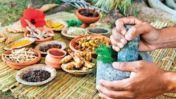 CSIR will prepare Ayurvedic medicines in 36 labs under MoU signed with Ayush Ministry