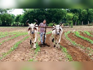 Balancing farmers rights: Encouraging innovations and enhancing income
