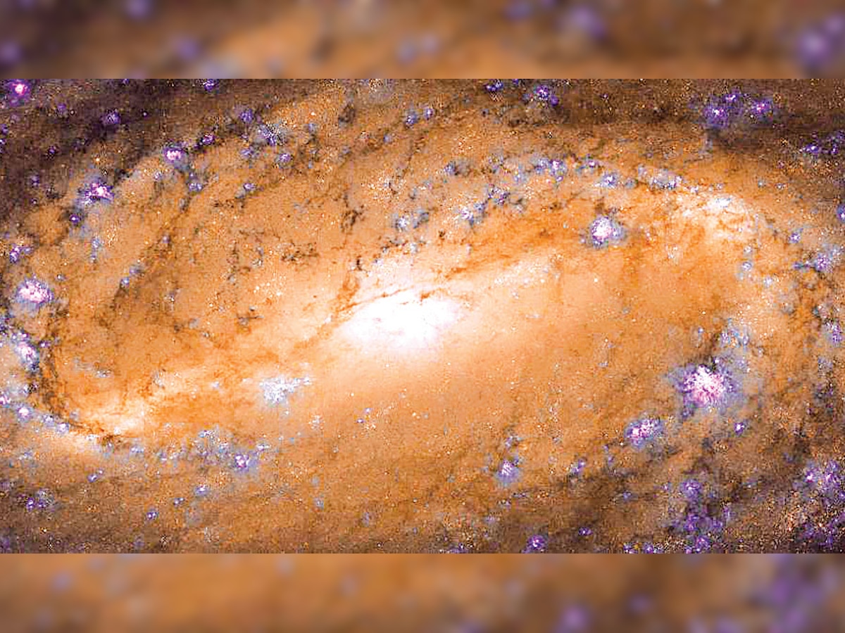 Galaxy NGC 2903: A celestial treat by NASA and ESA