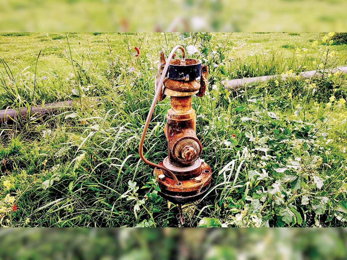 DNA EXCLUSIVE: MERC to study power use in agriculture sector