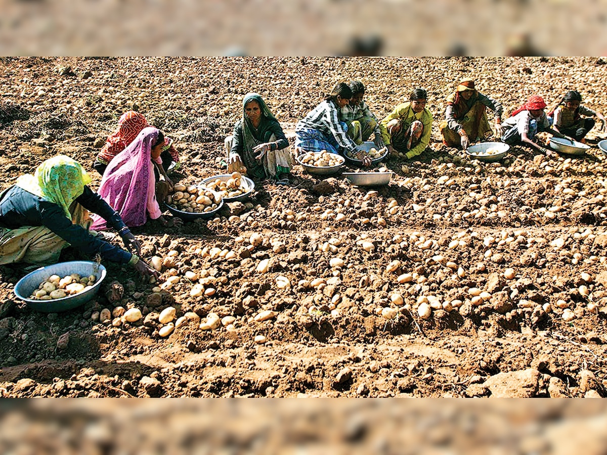 PepsiCo case: Gujarat farmers seek apology and compensation