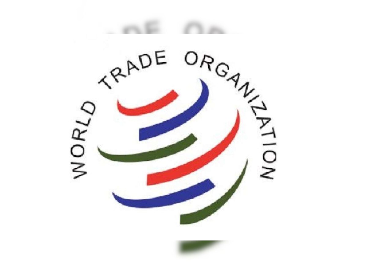 Collapse of WTO's dispute system, imbalance in reform agenda to impact developing nations: India