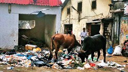 Khar residents devise unique ways to tackle garbage menace