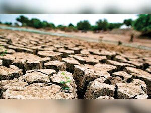 DNA Edit: Dry states – Maha, Guj show why big dam policy has not worked