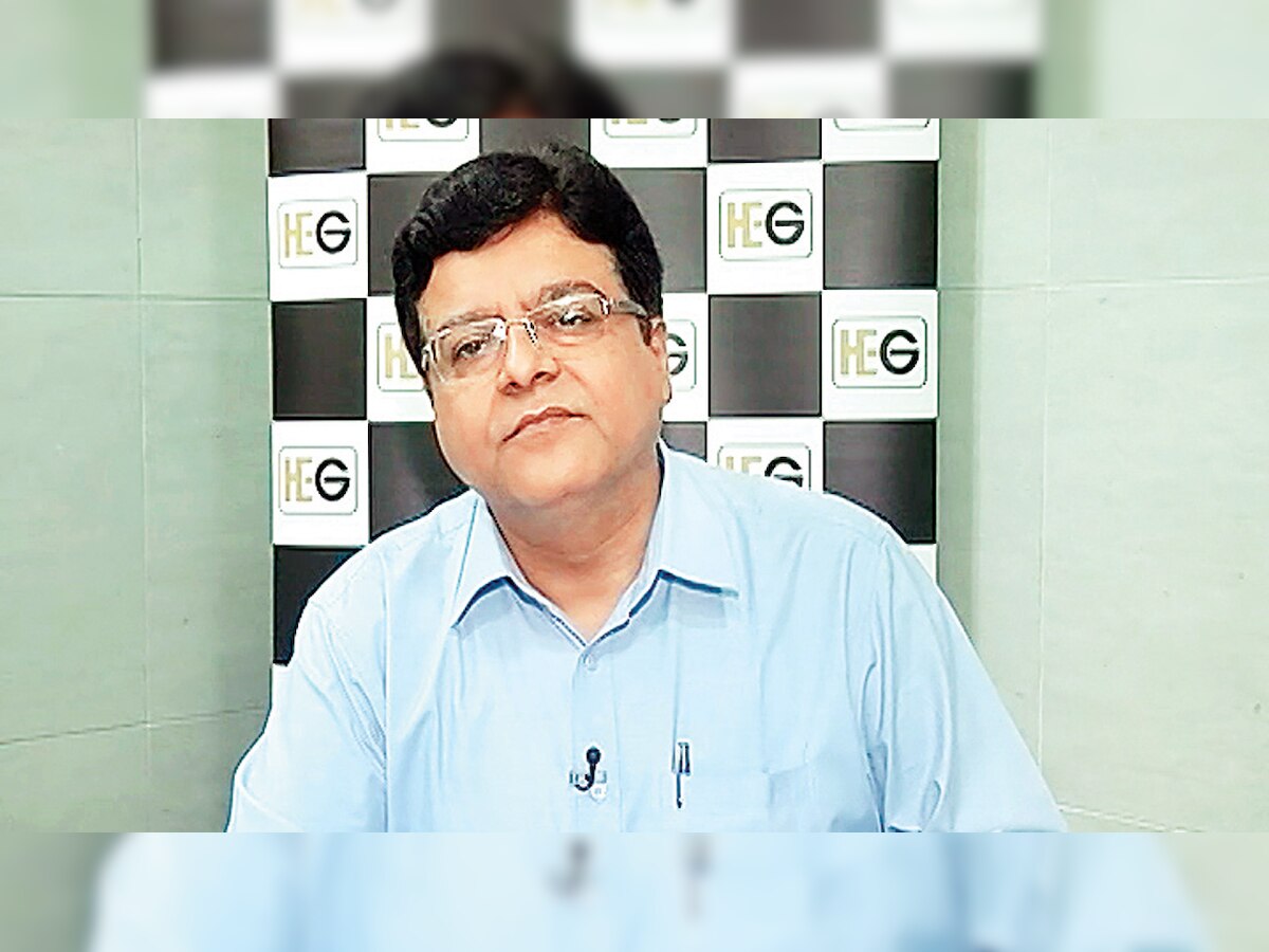 HEG's margins tempered due to higher needle coke prices: Manish Gulati