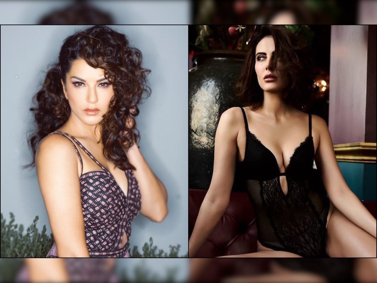 Double Dhamaaka! Ex Bigg Boss contestants Sunny Leone and Mandana Karimi to be seen in horror comedy 'Coca Cola'