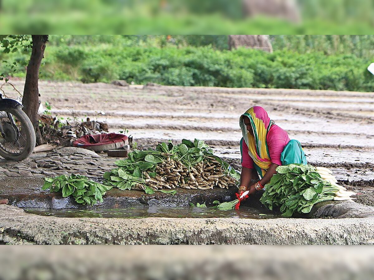 Funds under PM Kisan scheme yet to be transferred to 1.5 lakh farmers in UP