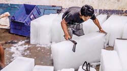 Food and Drug Administration destroys 18,000 kg of contaminated ice in Mumbai