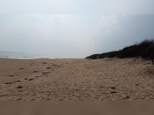 Puri's Chandrabhaga beach hailed for being environment-friendly, becomes first beach in Asia to get 'Blue Flag' tag