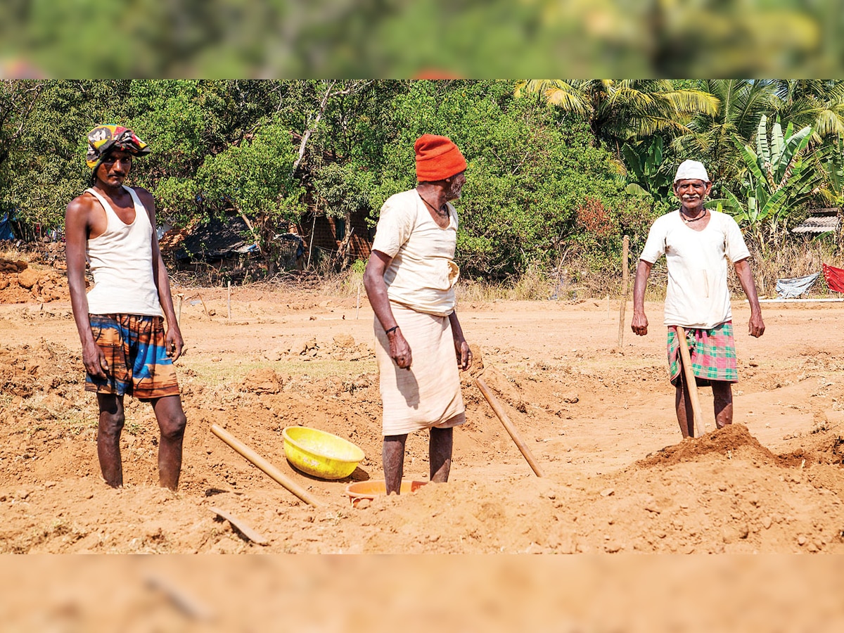 Gujarat High Court stays govt's plan to terminate MGNREGA employees