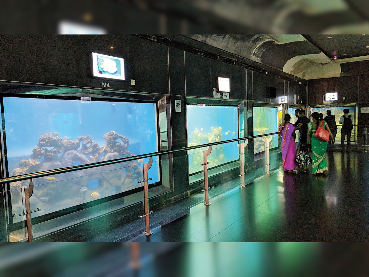 DNA SPECIAL: Plans afoot to privatise Taraporewala Aquarium