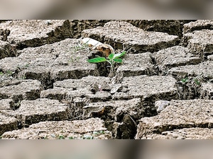 Maharashtra govt plans cloud seeding in drought areas in July