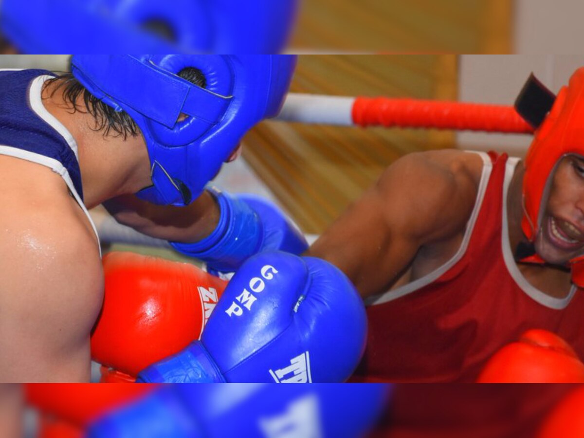 Youth Boxing National Championship: Four SSCB boxers reach semifinals 