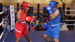 Youth Boxing Nationals: Services boys crowned champions, Haryana dominates girls section 